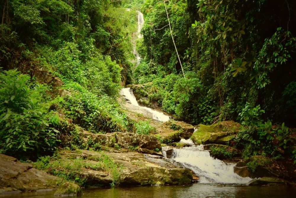 O investimento na Reserva Biológica do Tinguá (REBIO Tinguá) também é um importante destino turístico na região metropolitana