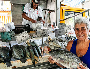 Governo do Estado celebra aumento da exportação de peixes produzidos no Rio e planeja novos incentivos