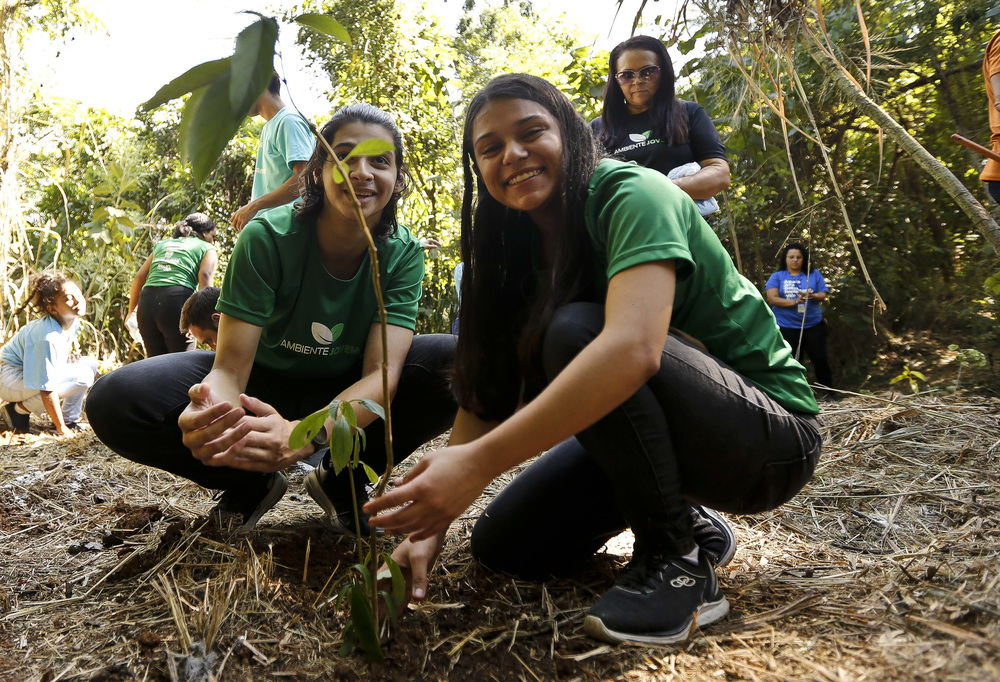 Estudantes do Ambiente Jovem ajudam a reflorestar área de Mata Atlântica