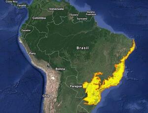 Comissões da Alerj discutem implementação da política de reflorestamento no estado do Rio