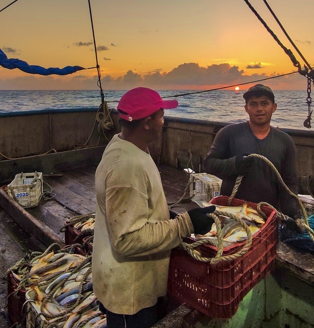 110 embarcações habilitadas a pescar tainha no Sul/Sudeste