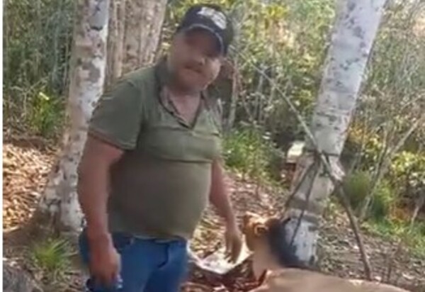 homem mata cavalo pra comer a carne