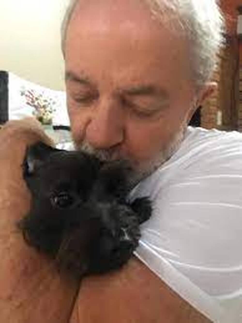 Lula manda trazer até os Pets dos brasileiros após confirmação da morte do 3º brasileiro, 701 brasileiros e quatro pets, já foram resgatados