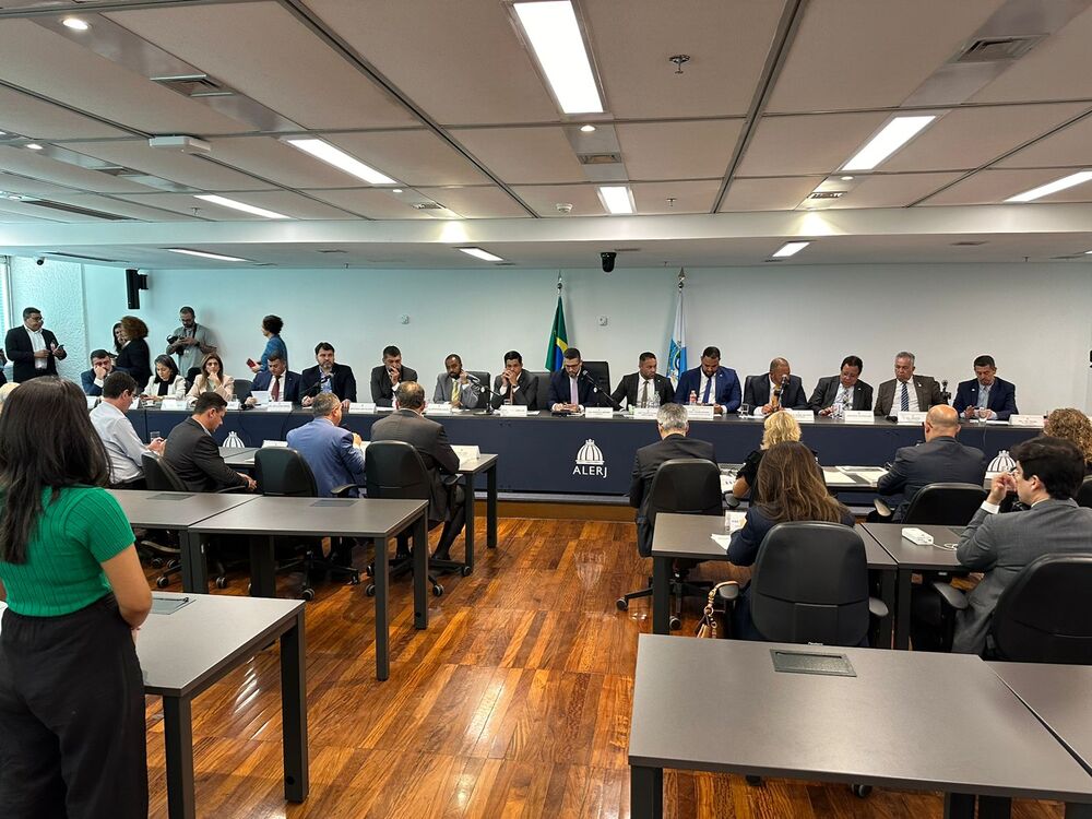 DECLARAÇÃO DA CADUCIDADE DA CONCESSÃO DA ENEL : Petição Pública Brasil