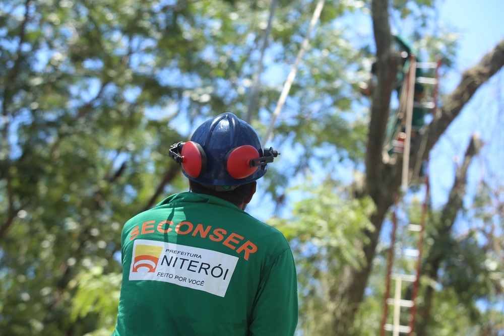 Prefeitura de Niterói e Enel criam gabinete de crise para tratar da arborização da cidade