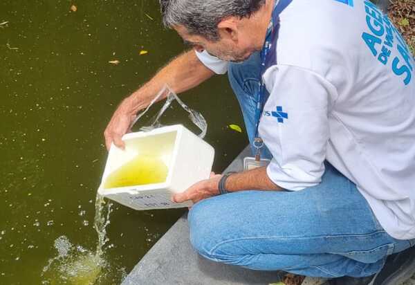 Prefeitura do Rio faz entrada compulsória em propriedade desocupada em São Conrado para combater focos de dengue