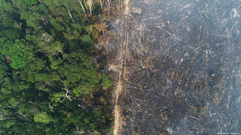 Amazônia tem alta de 286% nos focos de queimadas em fevereiro