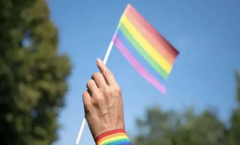 Tennessee nos EUA sanciona lei que veta exibição de bandeiras LGBT em escolas