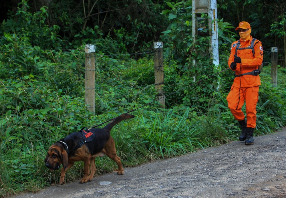 Governo do Rio vai enviar cão farejador e condutores para atuar nas buscas por fugitivos da Penitenciária de Mossoró