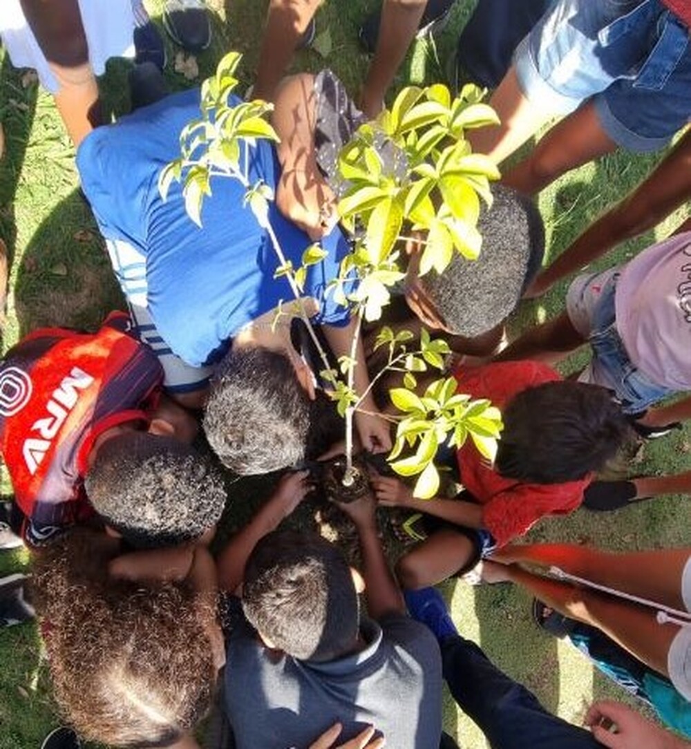 Ação de Voluntariado Ambiental celebrará o Dia Mundial do Meio Ambiente