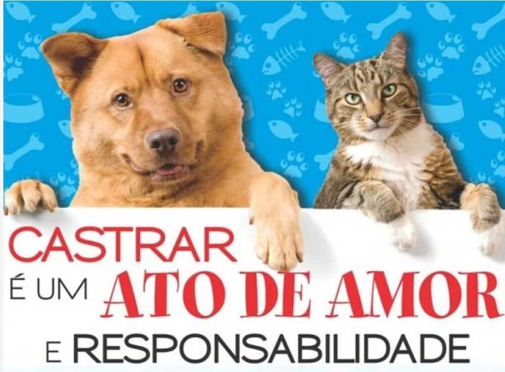 CASTRAÇÕES DE CÃES E GATOS ( Você conhece os benefícios?)