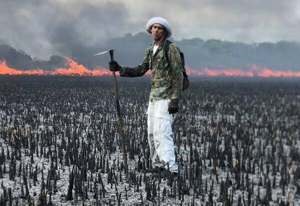 S.O.S. urgente para o Meio Ambiente na Região dos Lagos!