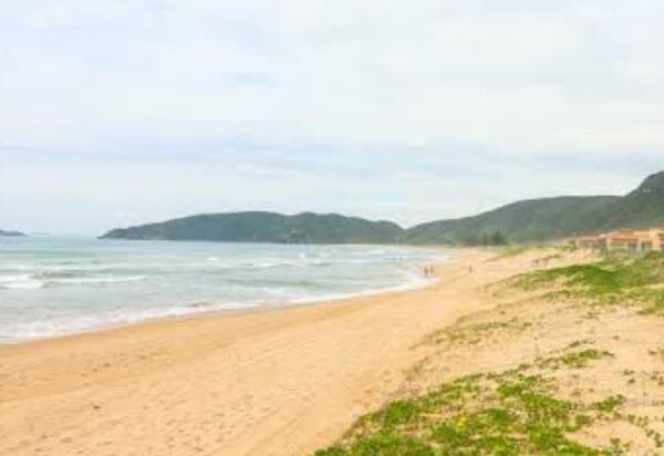 Praia de Tucuns, em Búzios, conquista Certificação Bandeira Azul: Um triunfo para a comunidade buziana