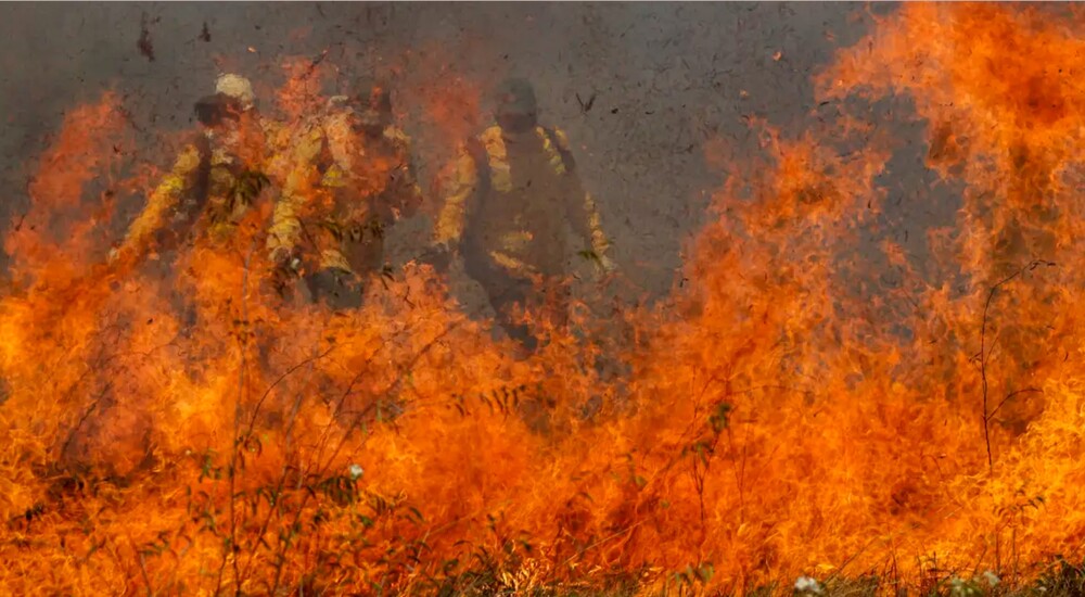 Pantanal acumula em 12 meses mais de 9 mil focos de incêndio