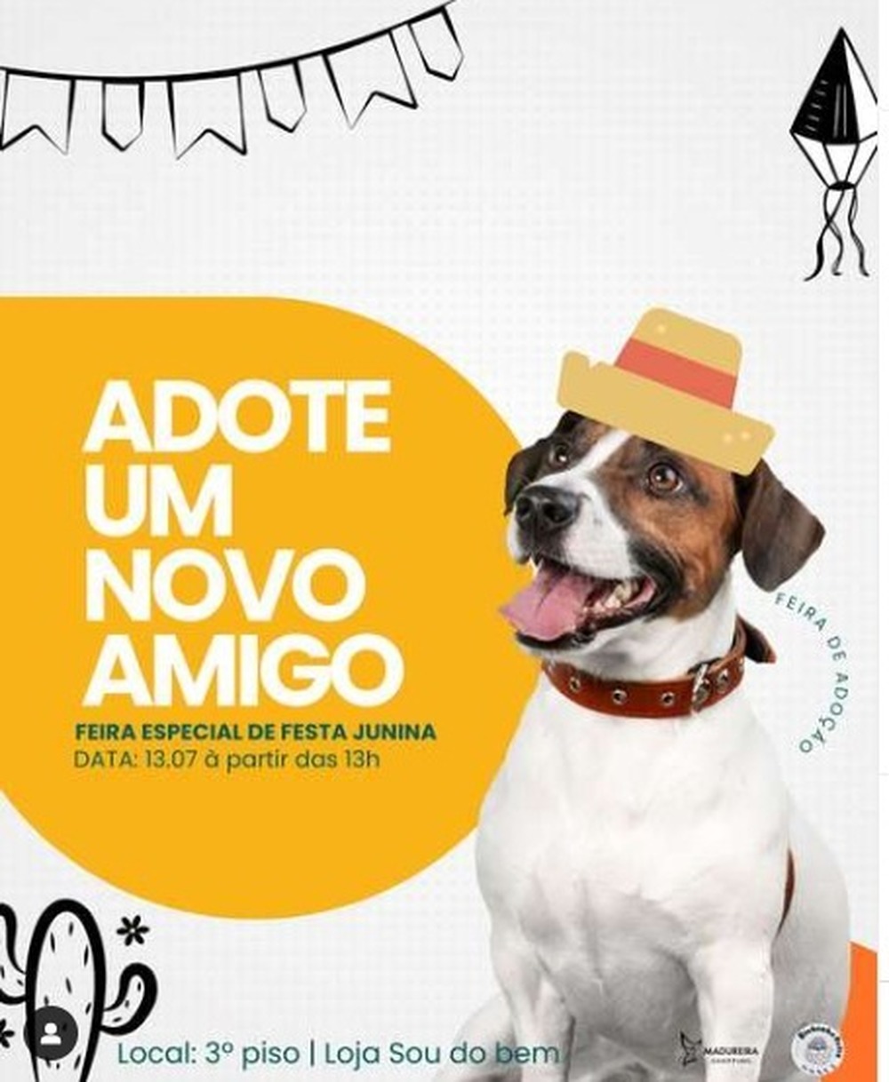 Madureira Shopping promove feira de adoção de cães e gatos?? 