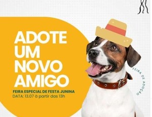 Madureira Shopping promove feira de adoção de cães e gatos?? 