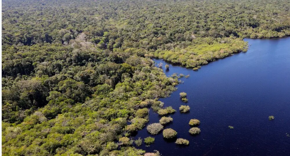 União Europeia fará doação de R$ 120 milhões ao Fundo Amazônia