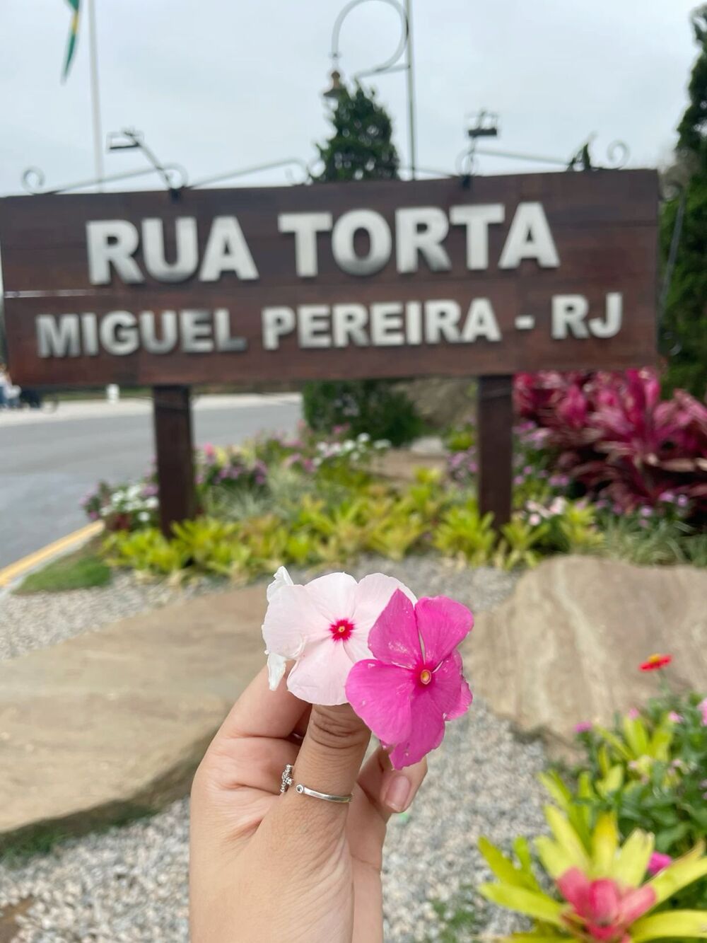 S.O.S: Acelerada Transformação em Miguel Pereira; De Cidade das Rosas a Epicentro de Mudanças