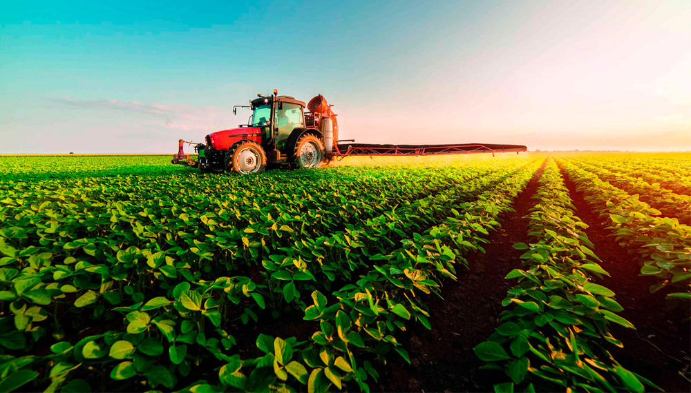 Agro é o destaque do crescimento do PIB no primeiro semestre de 2024