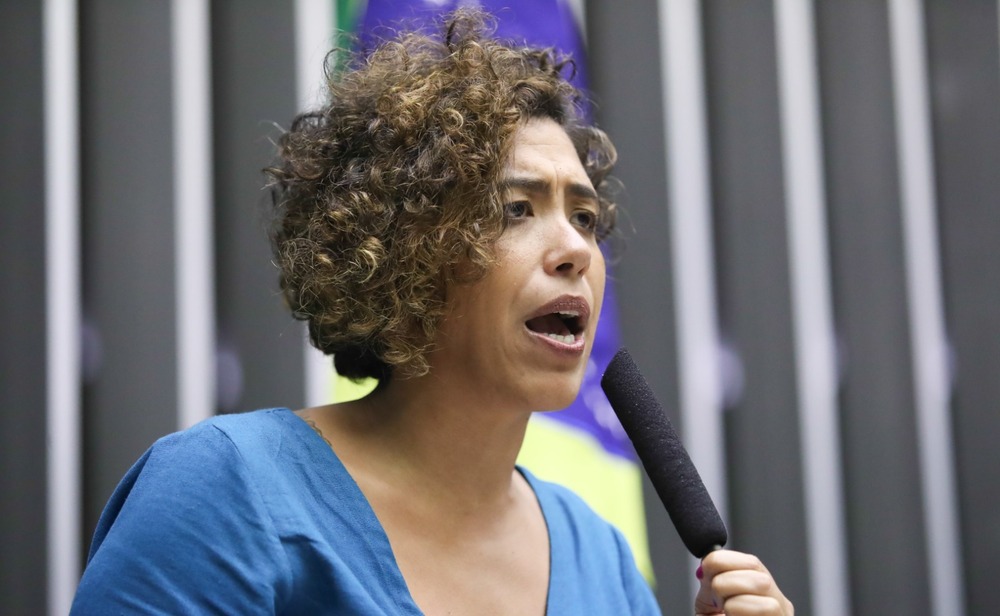 Talíria Petrone aciona ministra do Meio Ambiente, Ibama e MPRJ sobre possíveis incêndios criminosos em Niterói