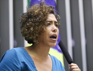 Talíria Petrone aciona ministra do Meio Ambiente, Ibama e MPRJ sobre possíveis incêndios criminosos em Niterói