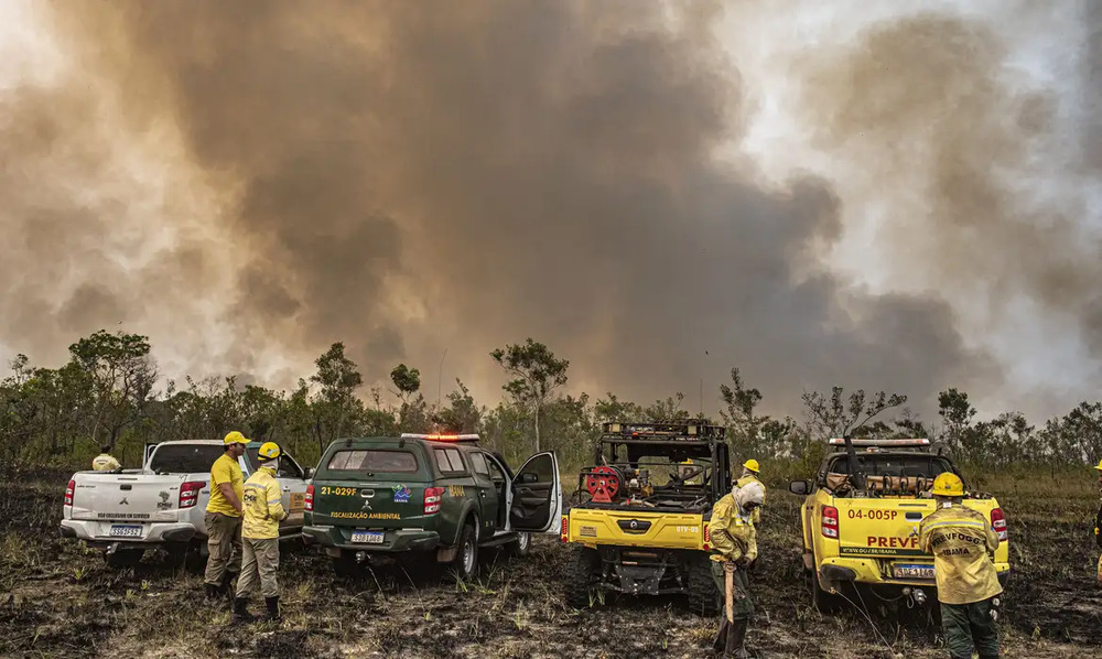 Queimadas no Brasil: um alerta urgente diante da emergência climática