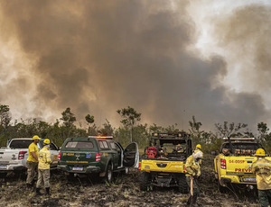 Queimadas no Brasil: um alerta urgente diante da emergência climática