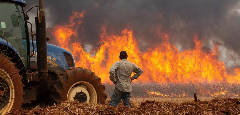 Gabinete de Gestão de Crise do Governo do Estado: Polícia Civil identifica 34 autores de incêndios e prende 5 pessoas