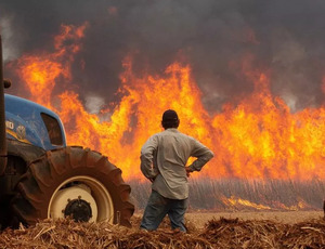 Gabinete de Gestão de Crise do Governo do Estado: Polícia Civil identifica 34 autores de incêndios e prende 5 pessoas