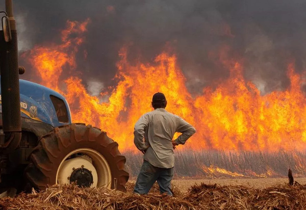 Gabinete de Gestão de Crise do Governo do Estado: Polícia Civil identifica 34 autores de incêndios e prende 5 pessoas