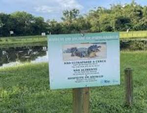 Obra da Iguá provoca desastre Ecológico na Barra: Lago Seca e Animais lutam pela Sobrevivência