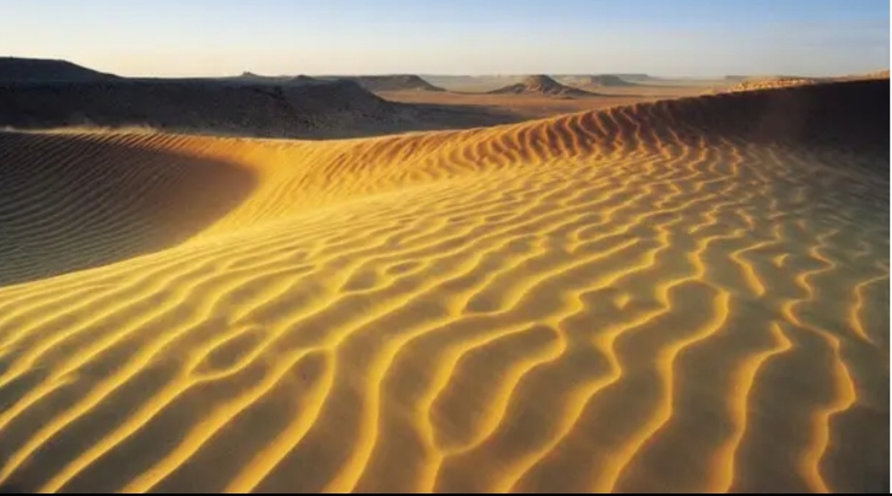 Chaline Grazik acerta previsão sobre o Deserto do Saara