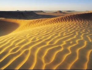 Chaline Grazik acerta previsão sobre o Deserto do Saara