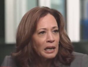 Kamala Harris e a Vice-Presidência Sob Crítica