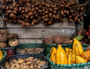 Comida de baixo carbono na COP30 é tema de experiência gastronômica no DF