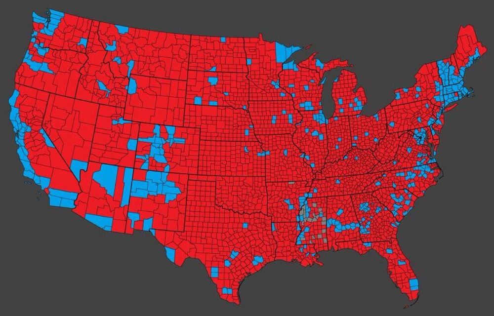 Trump e a aliança diversificada que garantiu a vitória nas eleições americanas