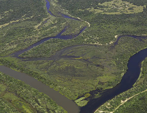 Maior parte da Mata Atlântica tem menos de 30% de vegetação nativa