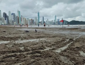 Poluição nas praias de Balneário Camboriú, cidade bolsonarista, gera debate nas redes