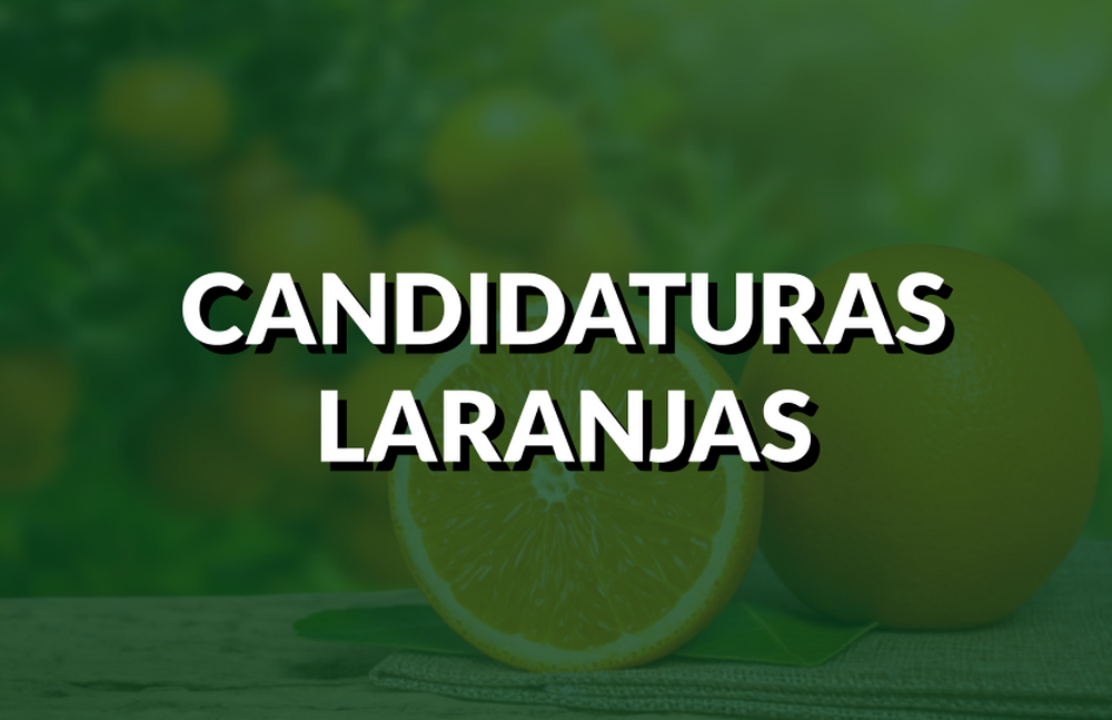 Por que Nova Iguaçu ainda permite a fraude nas eleições? O teatro das candidaturas laranjas