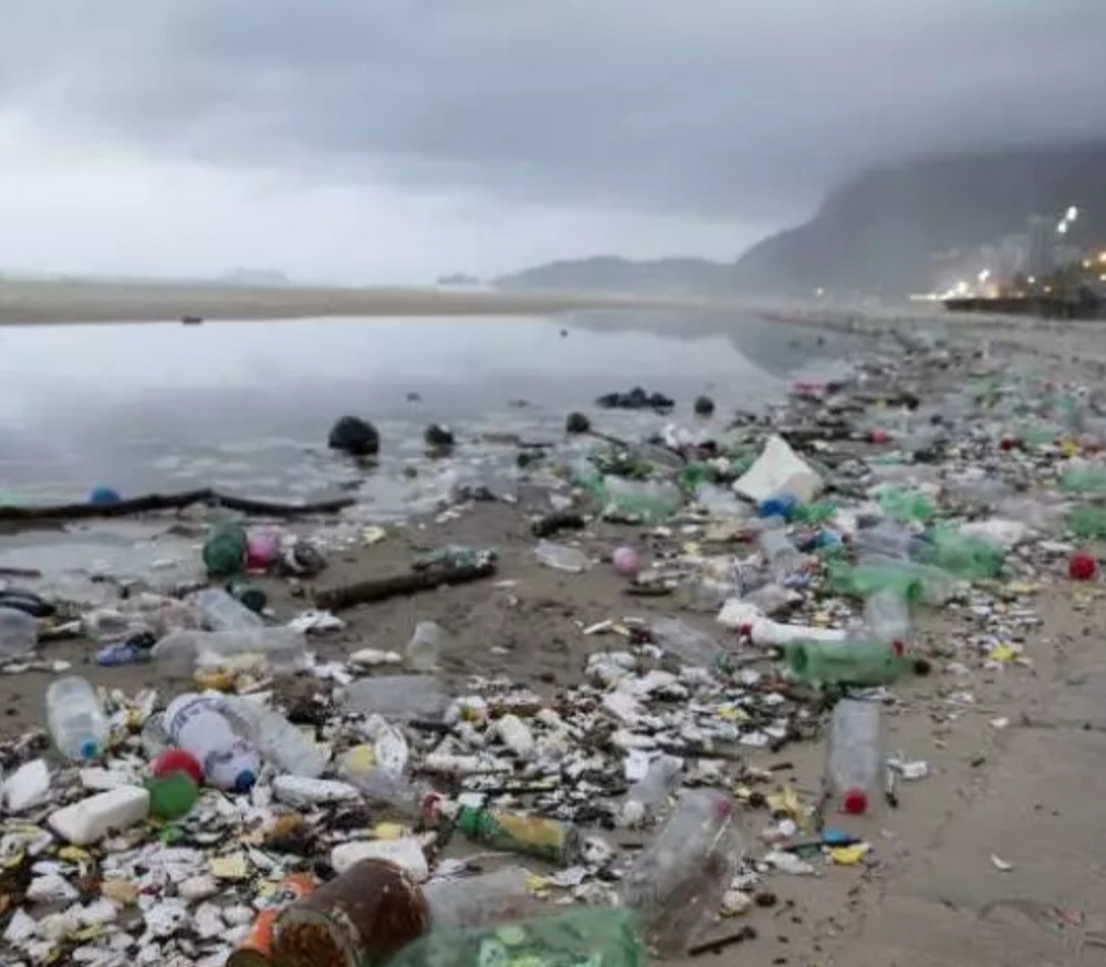 Verão, sol e viroses: Quando as praias brasileiras são mais perigo do que diversão