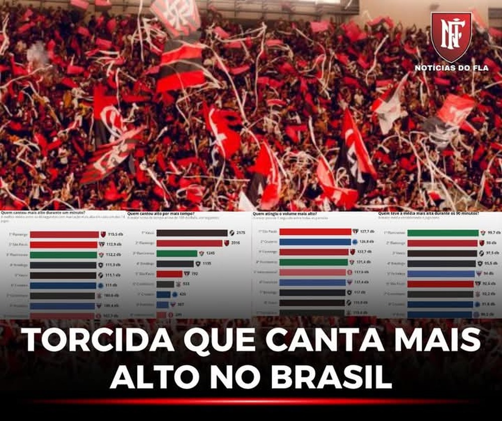 Pesquisa comprova a torcida do flamengo é a mais Barulhenta do Brasil