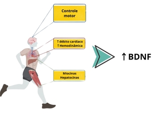 Exercícios: A chave para uma boa saúde mental