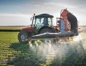 China suspende importação de soja de 5 empresas brasileiras por contaminação de agrotóxicos