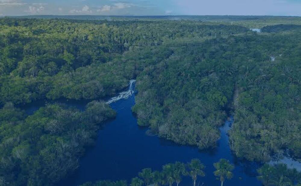 Carta aberta em defesa da exploração de petróleo na margem equatorial