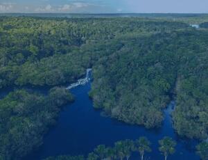 Carta aberta em defesa da exploração de petróleo na margem equatorial