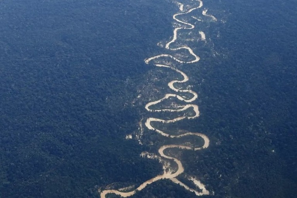 Desmatamento na Amazônia atinge menor índice da série histórica para fevereiro