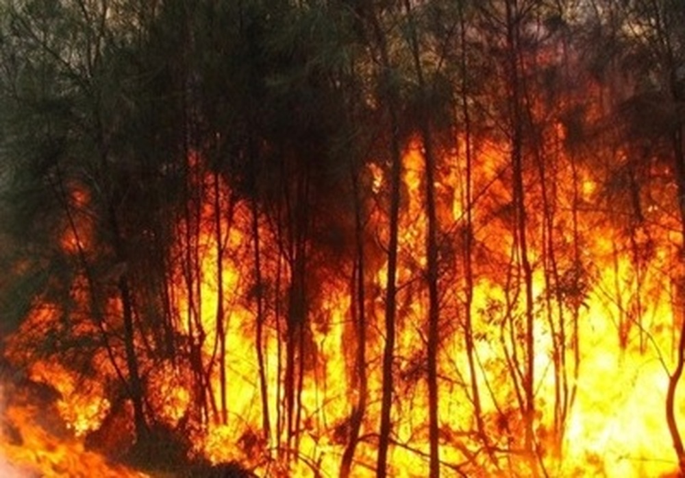 Cúpula do Clima: EUA quer o Brasil mostrando resultados concretos sobre o desmatamento na Amazônia