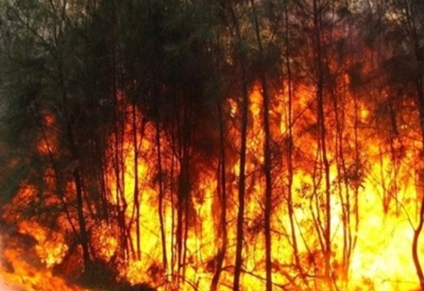 Cúpula do Clima: EUA quer o Brasil mostrando resultados concretos sobre o desmatamento na Amazônia