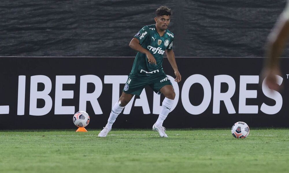 Palmeiras enfrenta Dell Vale pela segunda rodada da Libertadores 