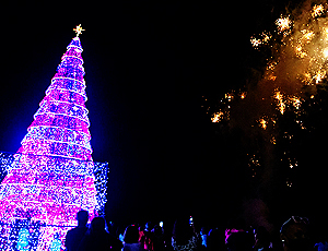 Inauguração das Árvores iluminadas celebra a “Energia do Natal”